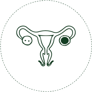 Improving Female Reproductive Health