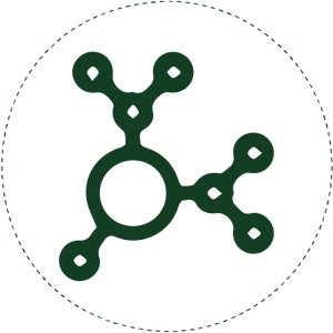 Regulates Blood Sugar Levels